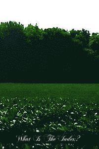 Redmond a. Burke C. S. V. Ph. D. - What Is The Index?, Häftad