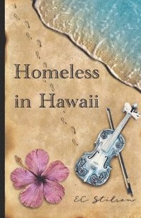 bokomslag Homeless in Hawaii