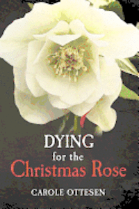 bokomslag Dying for the Christmas Rose