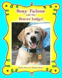 bokomslag Sony Fatone and the Beaver Lodge