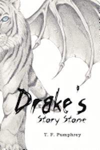 bokomslag Drake's Story Stone