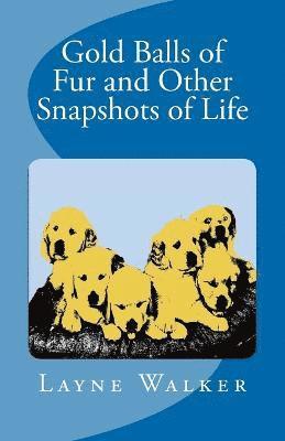 Gold Balls of Fur and Other Snapshots of Life 1