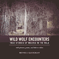 bokomslag Wild Wolf Encounters: True Stories of Wolves in the Wild with pictures, poems, and links to videos