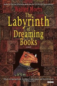 bokomslag The Labyrinth of Dreaming Books