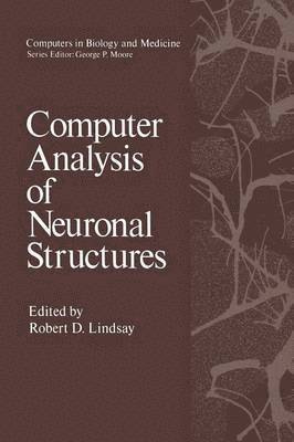 Computer Analysis of Neuronal Structures 1