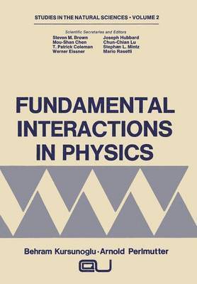 bokomslag Fundamental Interactions in Physics