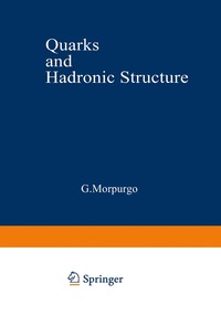 bokomslag Quarks and Hadronic Structure