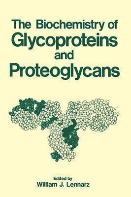 bokomslag Biochemistry of Glycoproteins and Proteoglycans