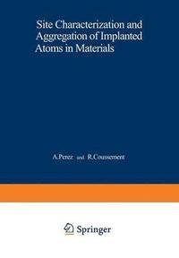 bokomslag Site Characterization and Aggregation of Implanted Atoms in Materials