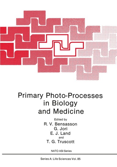 bokomslag Primary Photo-Processes in Biology and Medicine