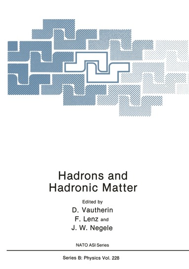Dominique Vautherin, F. Lenz, J.W. Negele - Hadrons and Hadronic Matter, Häftad