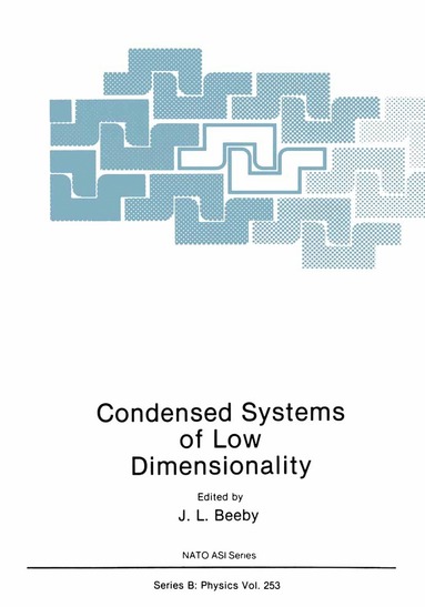 bokomslag Condensed Systems of Low Dimensionality