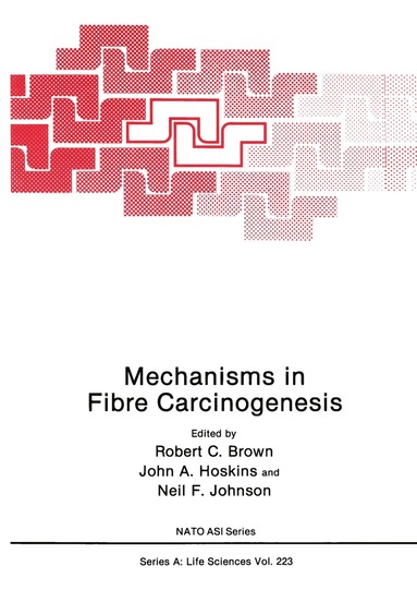 Robert C. Brown, John A. Hoskins, Neil F. Johnson - Mechanisms in Fibre Carcinogenesis, Häftad