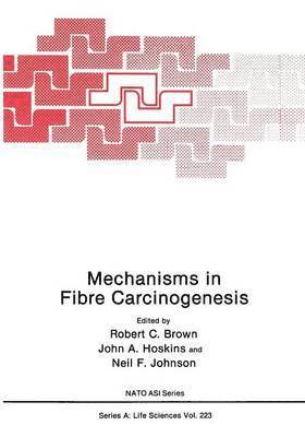 bokomslag Mechanisms in Fibre Carcinogenesis