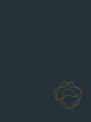 Robert P. Benedict - Handbook of Generalized Gas Dynamics, Häftad