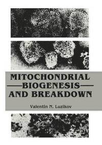 bokomslag Mitochondrial Biogenesis and Breakdown