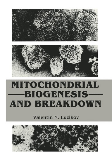 bokomslag Mitochondrial Biogenesis and Breakdown