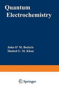 bokomslag Quantum Electrochemistry