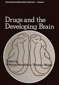 bokomslag Drugs and the Developing Brain