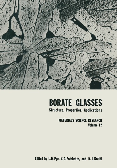 bokomslag Borate Glasses