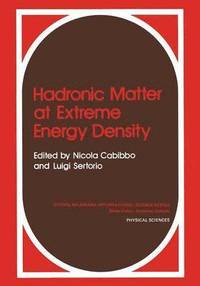 bokomslag Hadronic Matter at Extreme Energy Density