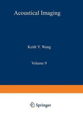Acoustical Imaging