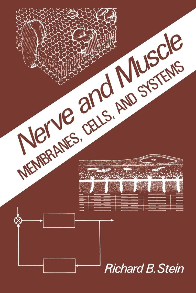 Nerve and Muscle 1