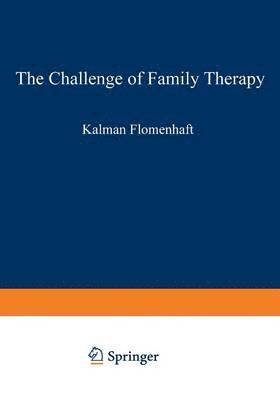 bokomslag The Challenge of Family Therapy