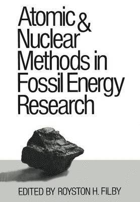 bokomslag Atomic and Nuclear Methods in Fossil Energy Research
