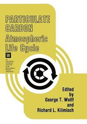 Particulate Carbon 1