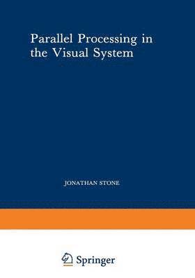 bokomslag Parallel Processing in the Visual System