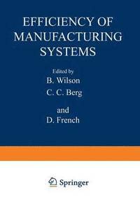 bokomslag Efficiency of Manufacturing Systems