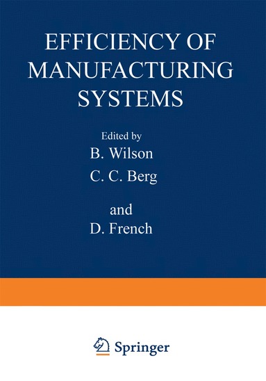 bokomslag Efficiency of Manufacturing Systems