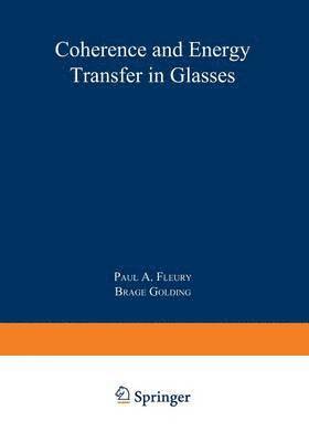 Brage Golding, Paul A. Fleury - Coherence and Energy Transfer in Glasses, Häftad