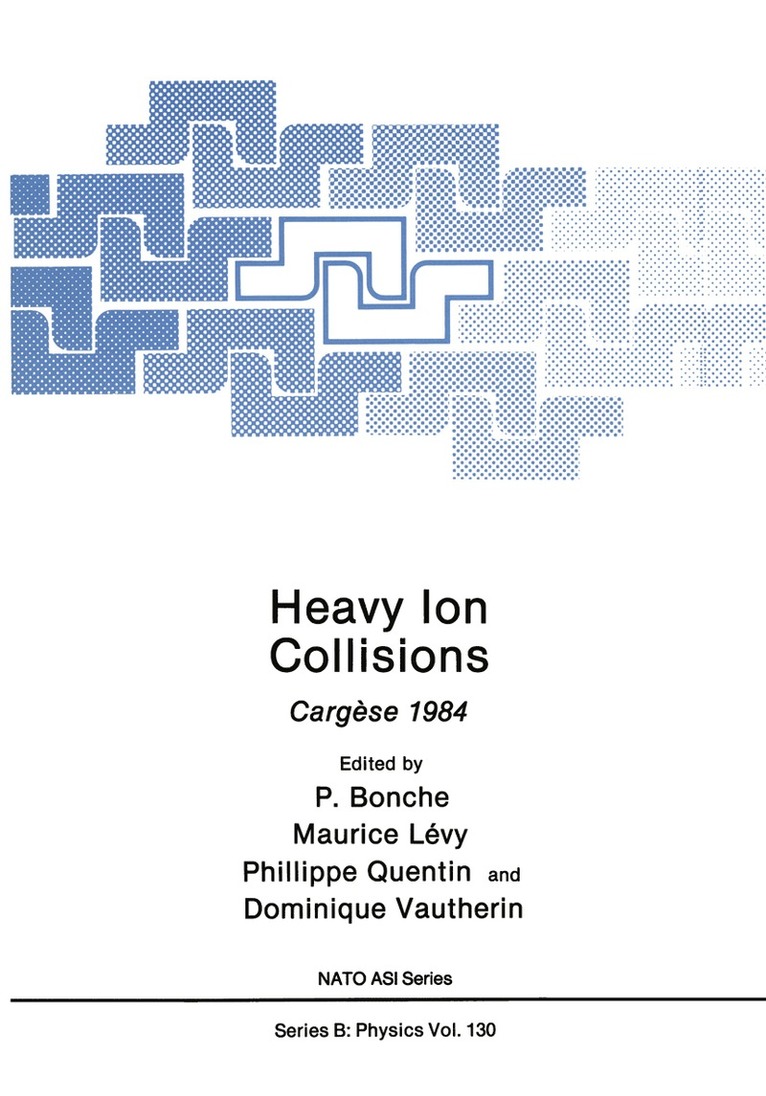 Paul Bonche, Maurice Lévy, Philippe Quentin, Dominique Vautherin, Maurice Levy - Heavy Ion Collisions, Häftad