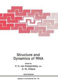 bokomslag Structure and Dynamics of RNA
