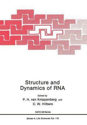 bokomslag Structure and Dynamics of RNA