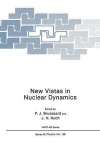 bokomslag New Vistas in Nuclear Dynamics