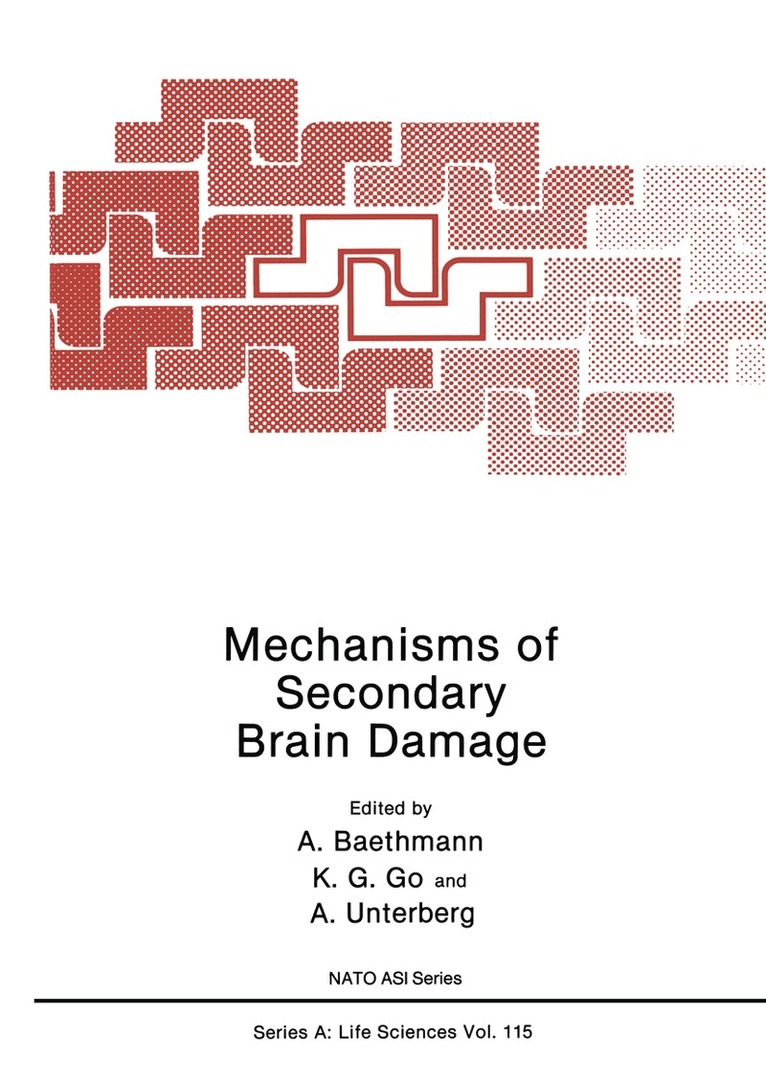 A. Baethmann, K. G. Go, A. Unterberg - Mechanisms of Secondary Brain Damage, Häftad