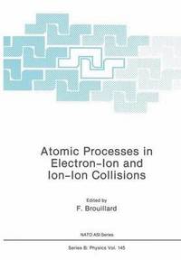 bokomslag Atomic Processes in Electron-Ion and Ion-Ion Collisions