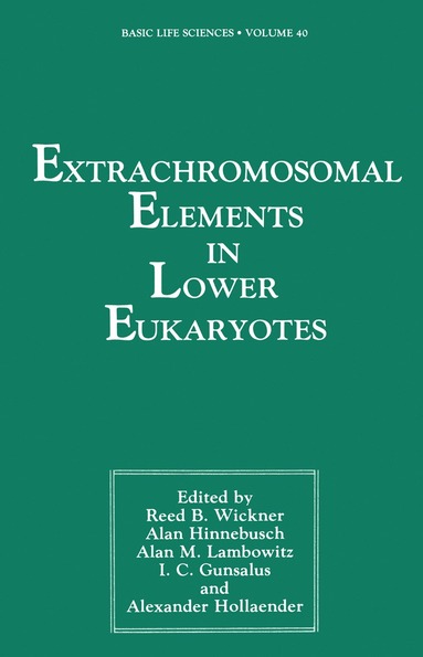 bokomslag Extrachromosomal Elements in Lower Eukaryotes