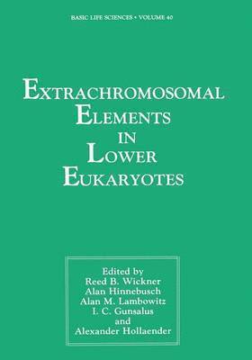 Extrachromosomal Elements in Lower Eukaryotes 1