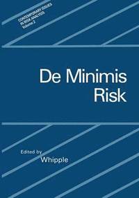 bokomslag De Minimis Risk