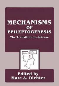 bokomslag Mechanisms of Epileptogenesis