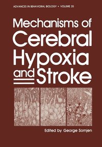 bokomslag Mechanisms of Cerebral Hypoxia and Stroke