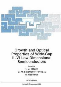 bokomslag Growth and Optical Properties of Wide-Gap IIVI Low-Dimensional Semiconductors