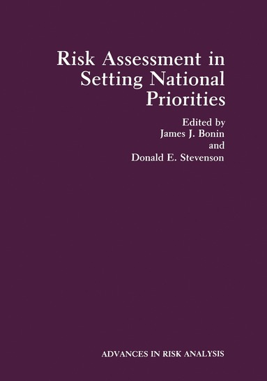 bokomslag Risk Assessment in Setting National Priorities