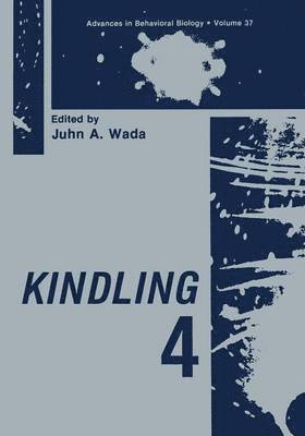 Kindling 4 1