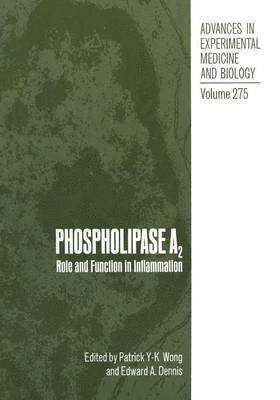 Patrick Y-K Wong, Edward A. Dennis, Patrick Y. Wong - Phospholipase A2, Häftad
