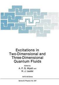 bokomslag Excitations in Two-Dimensional and Three-Dimensional Quantum Fluids